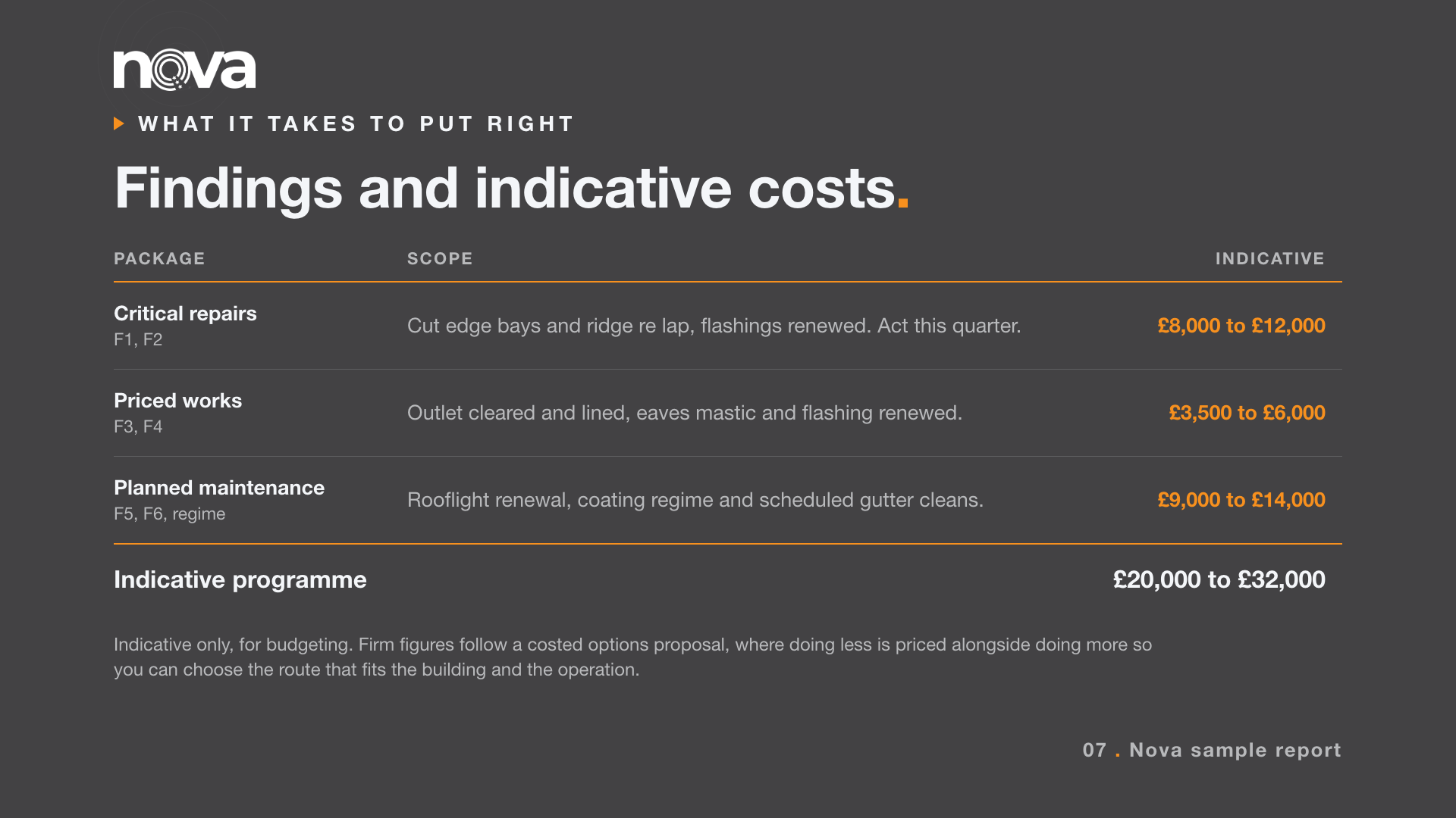 Costed options table grouping roof remedials by priority